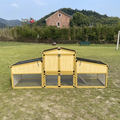 Poultry Farm Chicken House 