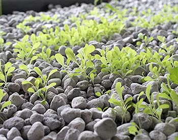 Light Weight Pumice Stone for agriculture