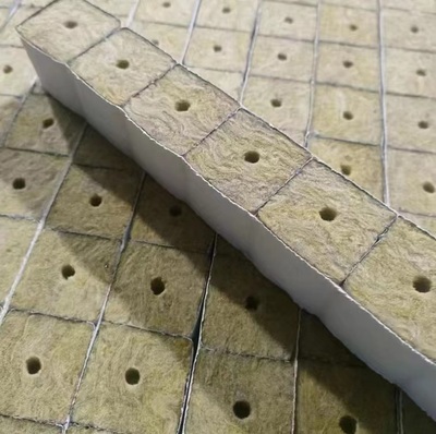 Grow Cubes for Plants