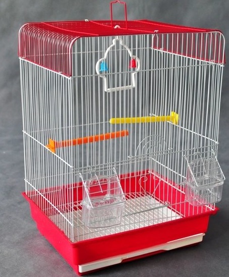 Comercial Bird Cage
