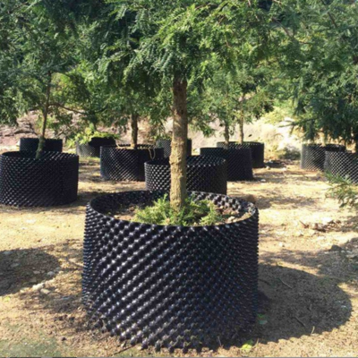 Air Root Pots Plant Root Trainer