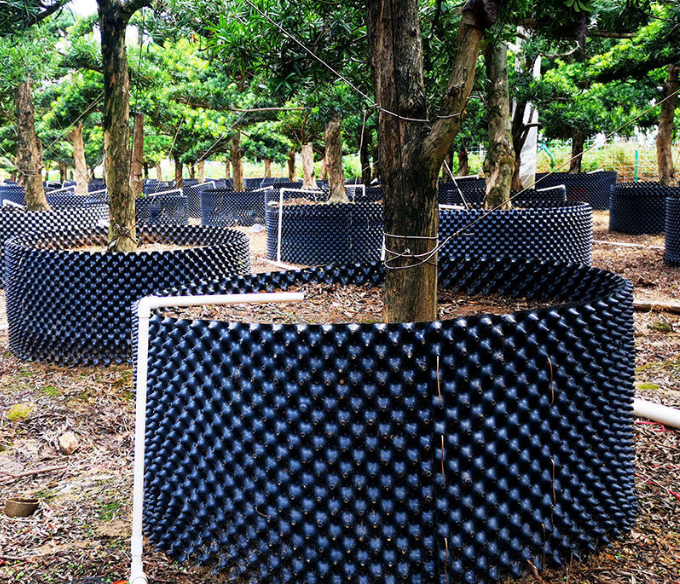 Hydroponic Plant Air Pruning Pots