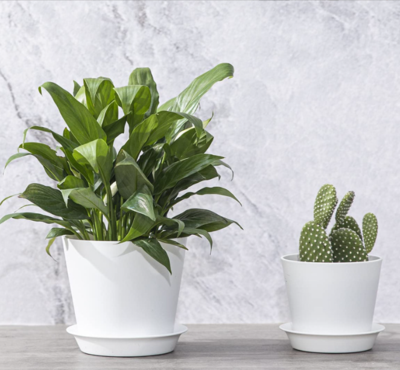 White Decorative Flower Pots for Indoor Plants