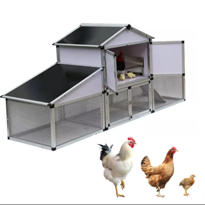 Chicken Coop for Layer Chicken