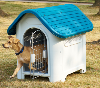 Pet Kennel Outside 