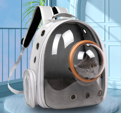 Airline Approved Travel Pet Carrier