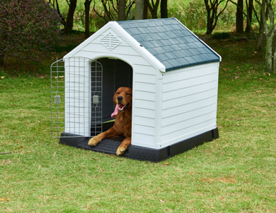 Plastic Dog House 